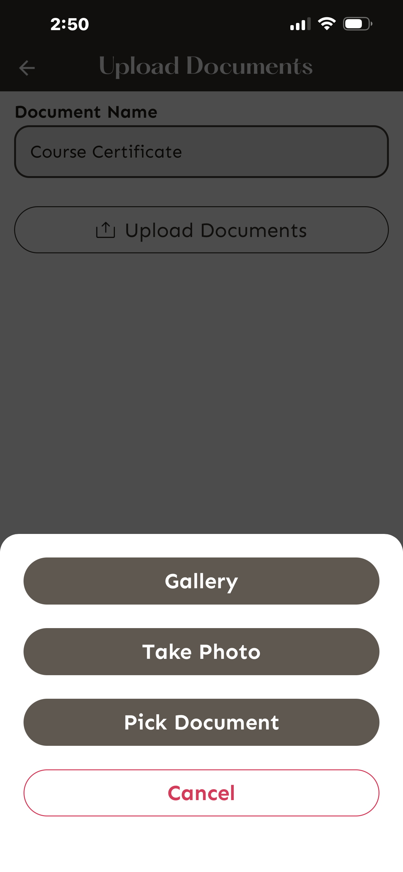 Opciones para subir: Gallery, Take Photo, Pick Document